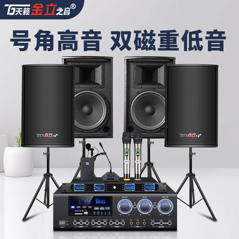 Teana Jin Li Zhiyin T08 professional conference room audio set dance room classroom special speaker gym home KTV karaoke power amplifier high power complete set of equipment