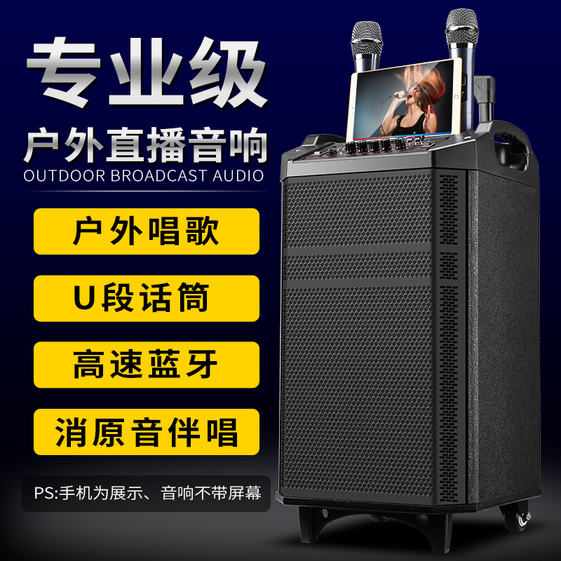 Sky Music W12 Inch Outdoor Performance K Song Sound Speaker With Wireless Microphone Bluetooth 15 Heavy Bass Stage Square Dance Professional Active Pull-Lever High Power Big Volume Square Dance Special