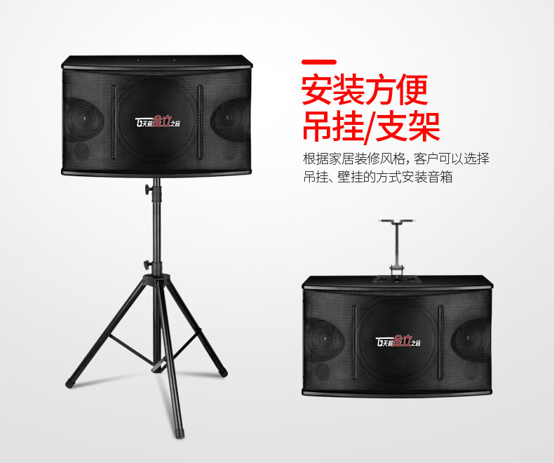 Sound of nature Jinli Zhiyin 8 inch 10 inch card pack speaker professional conference room gym dance studio sound pair