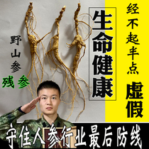 Ginseng Changbai Mountain wild Mountain gineng 20 years old and old Mountain ginseng Lower ginseng Suntan Ginseng Seed