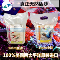 American two small fish live sand fine sand coarse sand containing natural flora fish tank coral sand no-wash bottom sand bottom sand