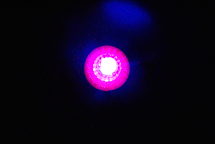 Eclairage pour vélo ROSWHEEL - Frog Lumières - Ref 2401010 Image 14