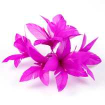  Feather corsage Childrens adult performance hair accessories Handmade fine crafts hairpin brooch dual-use