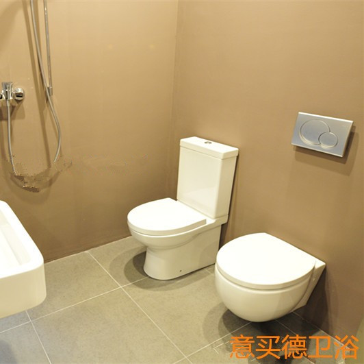German brand original imported passer-by two-piece toilet (seat toilet) 56361001 hanging toilet 56351001