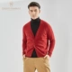 Mùa xuân tre mùa xuân mới 100% tinh khiết áo len cashmere nam áo len cổ chữ V kinh doanh áo len dệt kim - Cặp đôi áo len