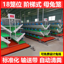Maibao rabbit cage 18-bit stepped manure-free mother rabbit cage Large breeding conveyor belt automatic manure-free rabbit cage
