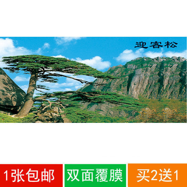 Landscape and landscape without adhesive modern decorative painting film two-piece super large 106*230CM welcome pine