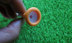 Golf tee nhựa bóng giữ thang 5 hộp 4 thông số kỹ thuật B.C GOLF bóng đinh 	bộ môn đánh golf	 Golf