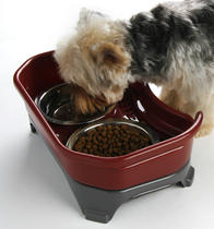 Doug patent dog bowl cat bowl stainless steel cat double basin splash-proof dog cat rice basin food basin Pet Bowl neck guard