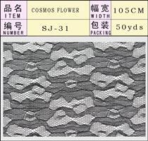 SJ-31 Dahua Net Korea Dahua Net