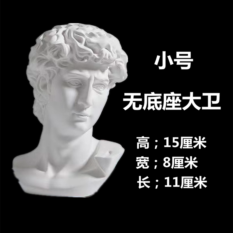 Small and medium-sized David plaster head without base 15 cm art sketch teaching aids plaster sculpture sketch plaster