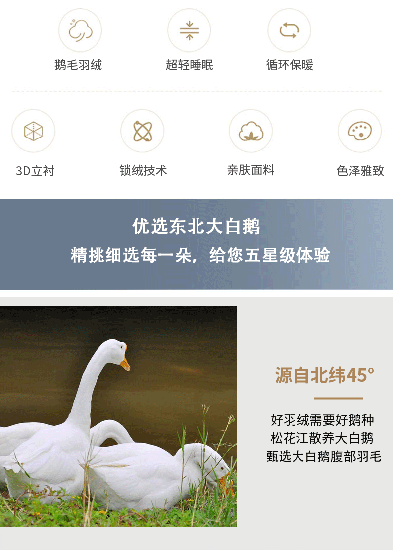 卡洛儿 5斤白鹅毛冬季被子 1.5m 图2