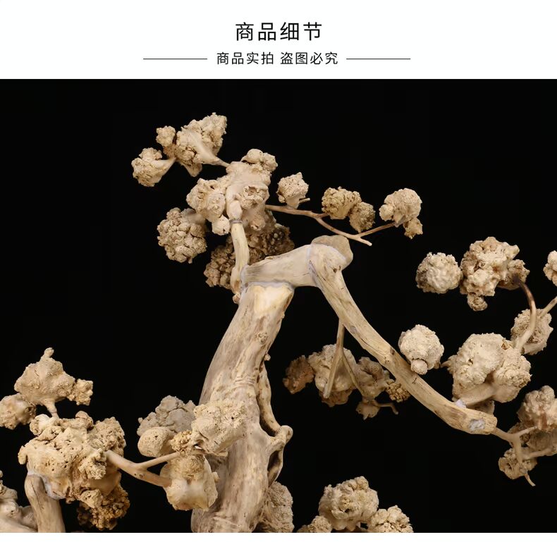 艺 阁 树 灯架 Gỗ đẹp tự nhiên kiểu dáng trang trí nhà đẹp đứng hoa - Các món ăn khao khát gốc bộ bàn ghế gốc cây đẹp