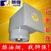 Lion Strong Kitchen Exhaust Fan 10 Inch Home Window Style Powerful Ventilator Silent Suction and smoke exhaust ventilator S601A