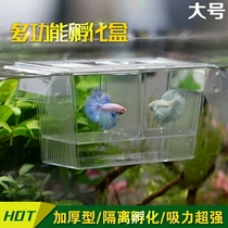 Fry double-layer fish tank breeding box guppy hatching box small fish fry aquarium isolation box small