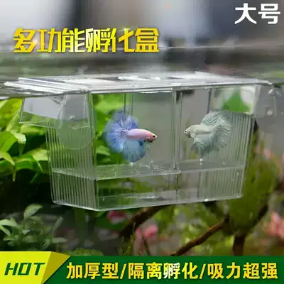 Fry double-layer fish tank breeding box guppies incubator box Small Fish Fish young fish fry aquarium isolation box trumpet
