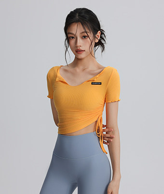 T2587