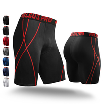 PRO basketball leggings High elastic pants Mens sports perspiration quick-drying five-point pants Compression pants Training fitness shorts