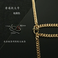 Пжская пряжка с правительством пистолета [2 установка]