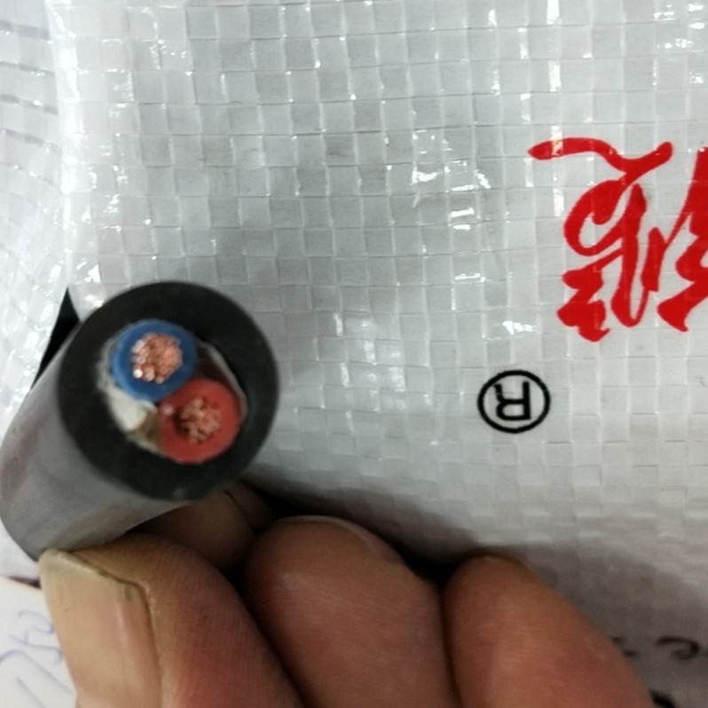 国标电线电缆郑州直销部的LOGO