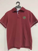 Yanan Junior High School summer New Polo shirt multi-color optional (small amount of stock)