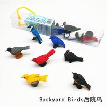 Simulation animal model toy backyard bird Children Baby early education puzzle Enlightenment kindergarten teaching aids warbler