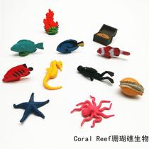 Simulation animal model toy coral reef Montesori kindergarten teaching aids children baby early education Enlightenment clownfish