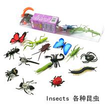 Simulation animal toy model insect children baby early education puzzle Enlightenment kindergarten teaching aids Dragonfly butterfly