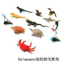 Simulation animal model toy Galapagos childrens early education Enlightenment puzzle Montesse kindergarten teaching aids monitor lizard