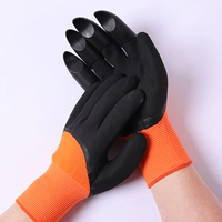 Сингл -кост