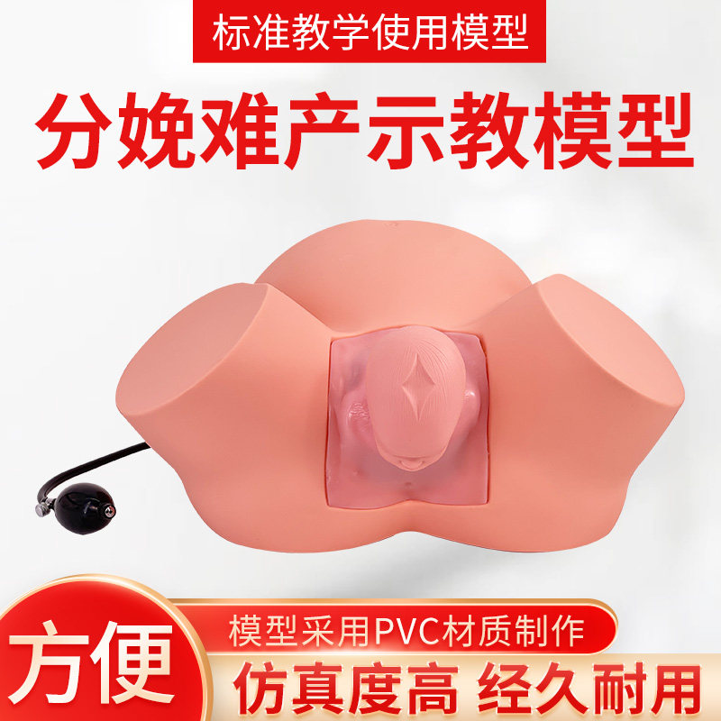 孕妇难产示教模型分娩教学模具难产助产示教训练生产分娩演示肩产