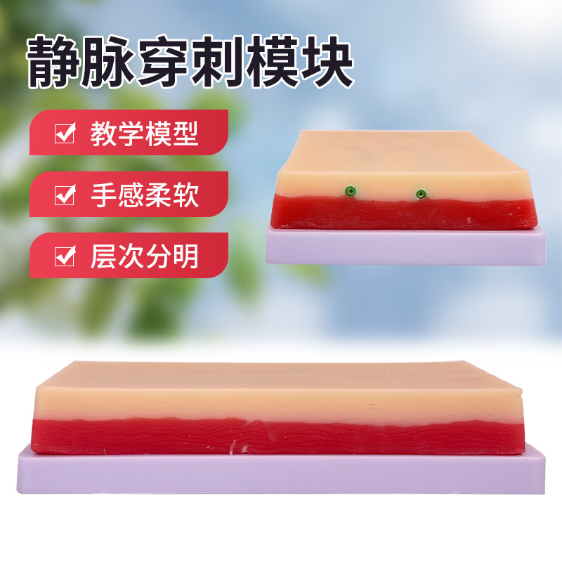 多功能皮肤静脉注射练习模块 皮肤血管动脉输液 肌肉穿刺训练模块
