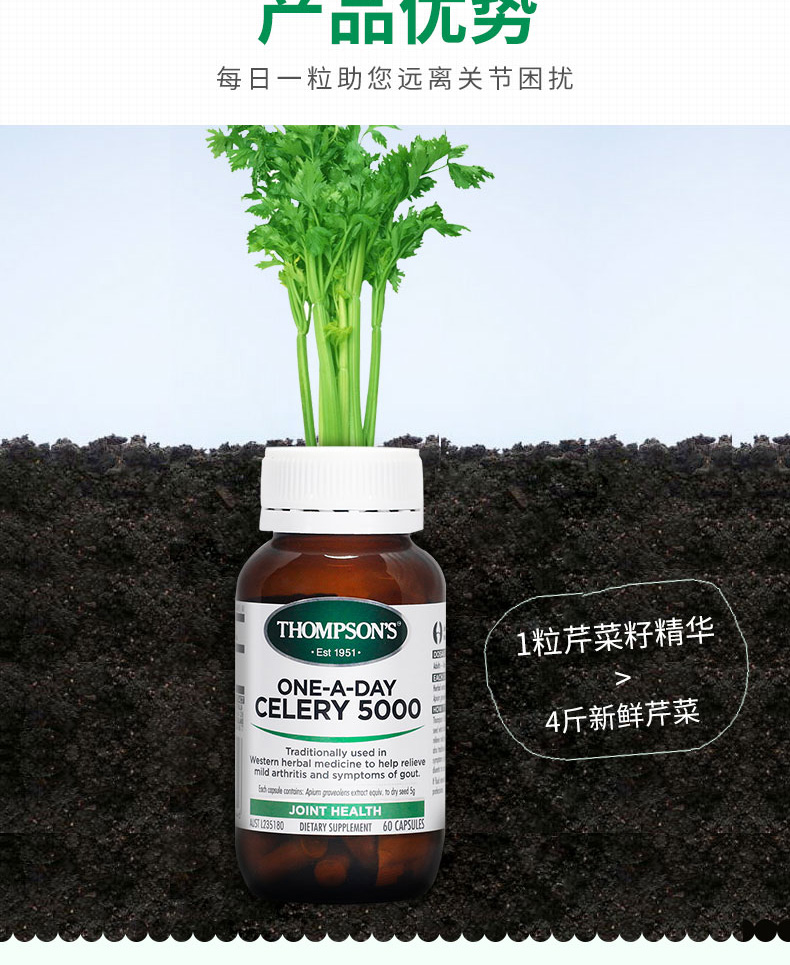 Hạt giống rau cần tây của Úc gout axit uric sản phẩm chăm sóc sức khỏe chung thompsons chiết xuất hạt cần tây 60 viên - Thức ăn bổ sung dinh dưỡng viên uống bổ sung kẽm