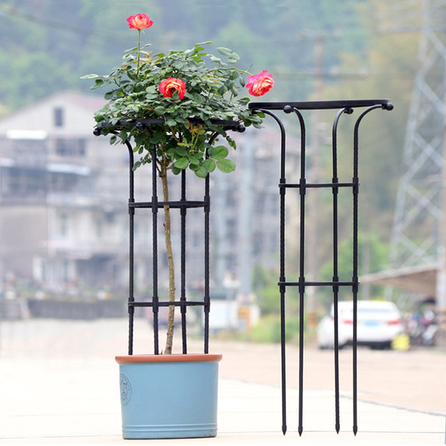 ເຮັດສວນ umbrella rose climbing pergola rose clematis climbing mushroom rose flower stand green plant bracket pole outdoor