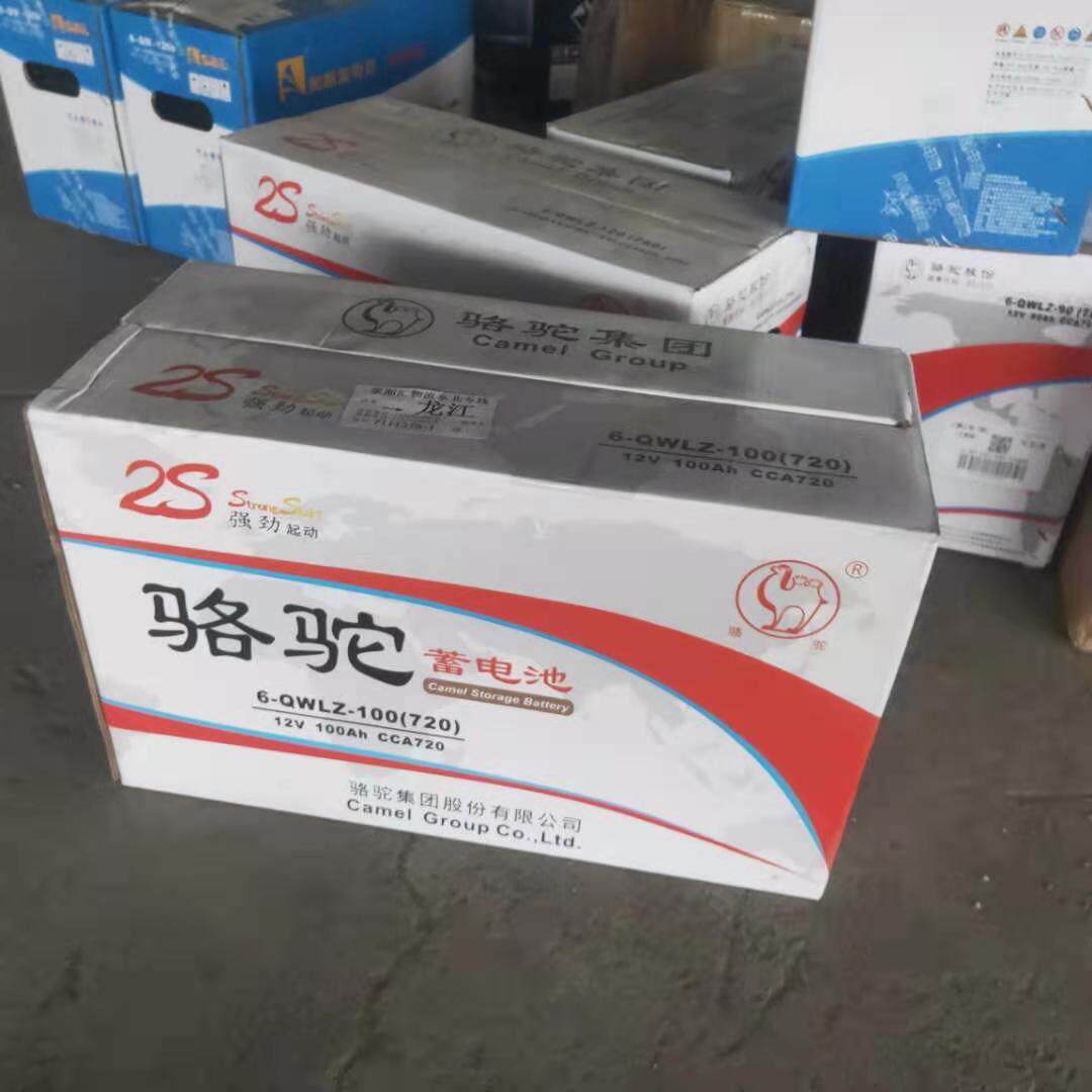 Camel storage battery 12V100AH ship generator set car dedicated free of maintenance