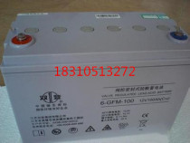 Shuangdeng 12V100AH battery 6-GFM-100 UPS power supply Solar EPS special battery