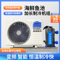 Seafood pool refrigerator integrated fish tank one-to-two aquaculture thermostatic machine pool commercial fish tank chiller