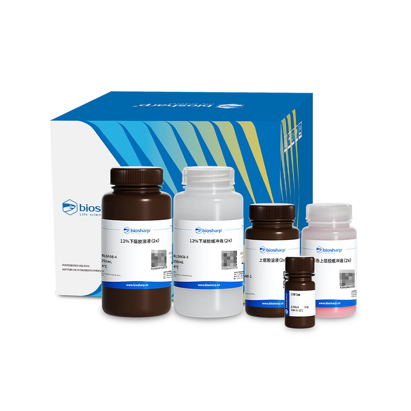 白鲨Biosharp BL566B 12%SDS-PAGE彩色凝胶快速制备试剂盒