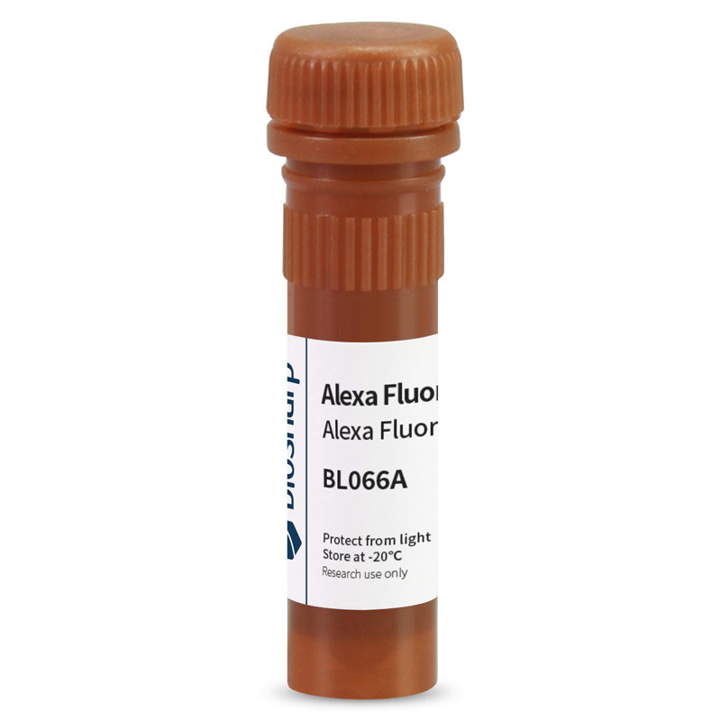 白鲨 Biosharp BL066A Alexa Fluor 488标记的羊抗小鼠IgG HL