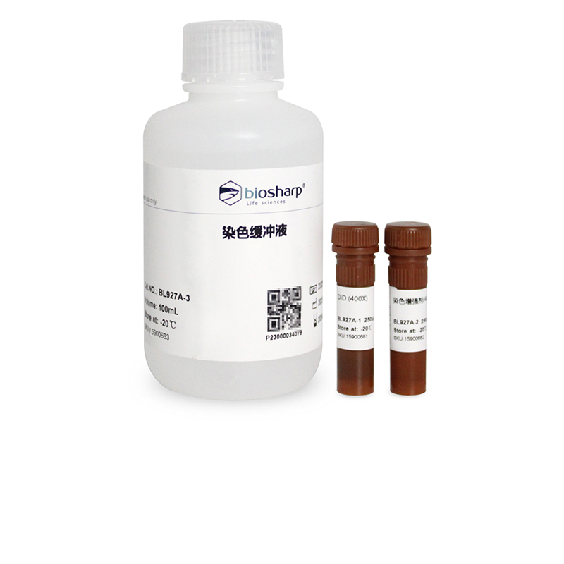 Biosharp白鲨 BL927A 细胞膜远红外荧光染色试剂盒DiD 200T-1000T
