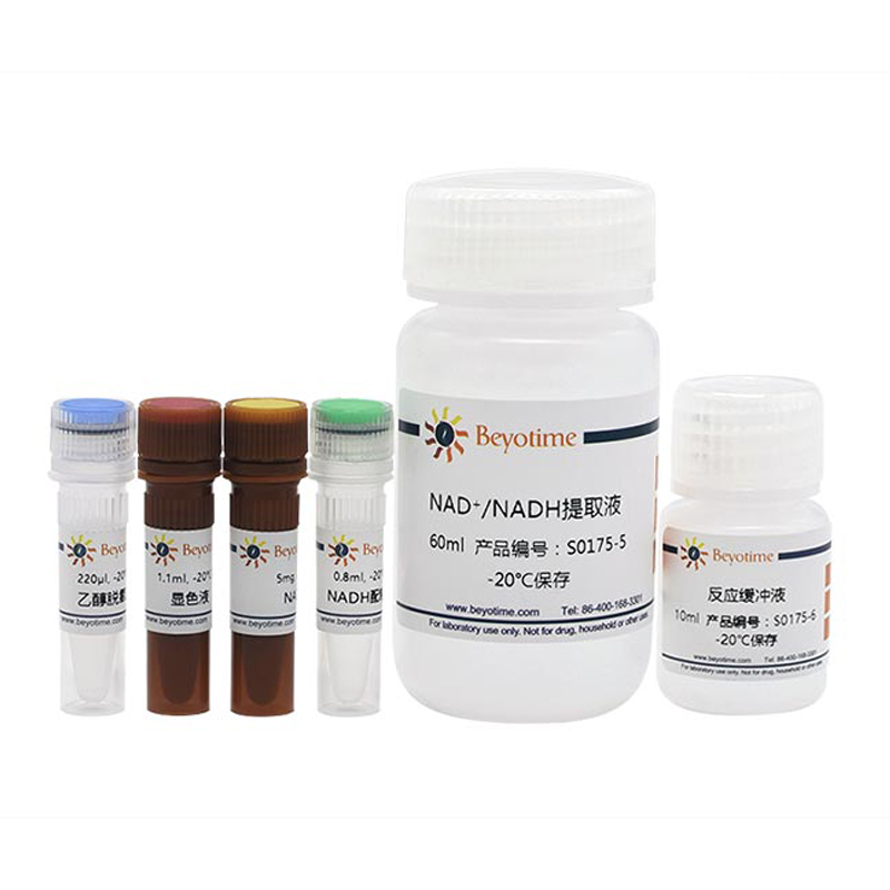 碧云天 S0175 NAD+/NADH检测试剂盒(WST-8法) 100T