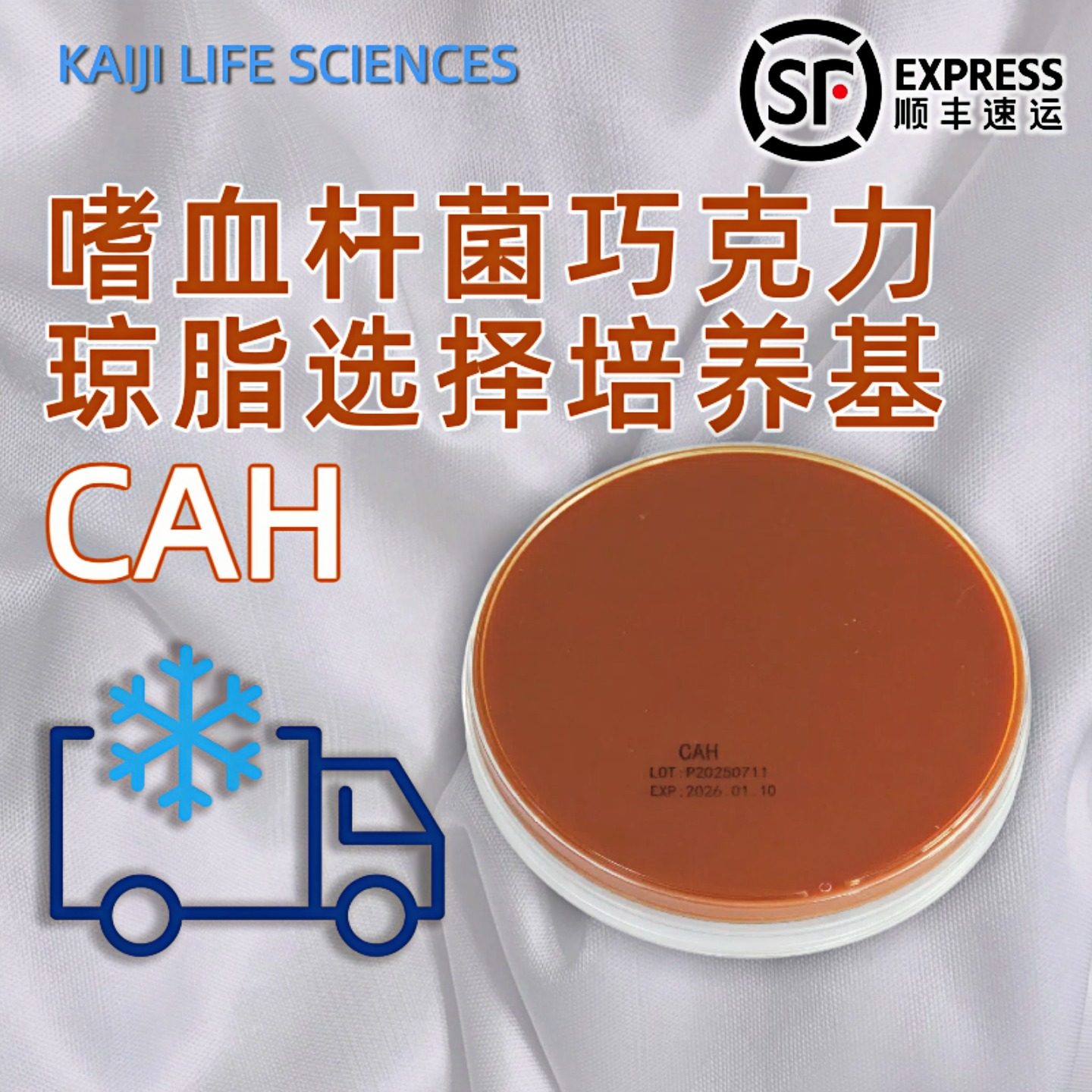 CAH嗜血杆菌巧克力琼脂选择培养基平板培养皿 嗜血杆菌的分离培养