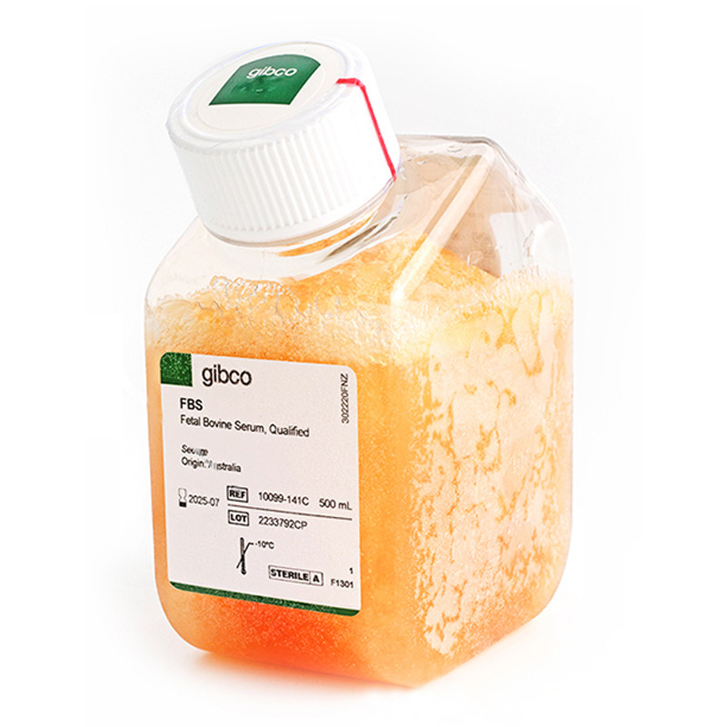 Gibco 10099141C 澳洲胎牛血清 特级 澳大利亚
