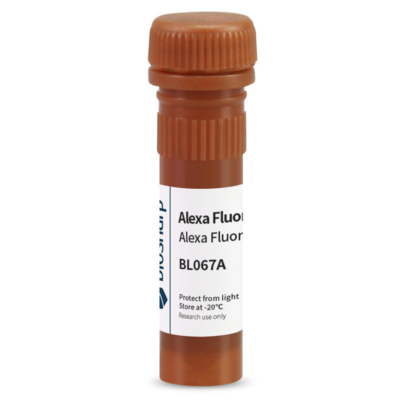 白鲨 Biosharp BL067A Alexa Fluor 488标记的羊抗兔IgG HL