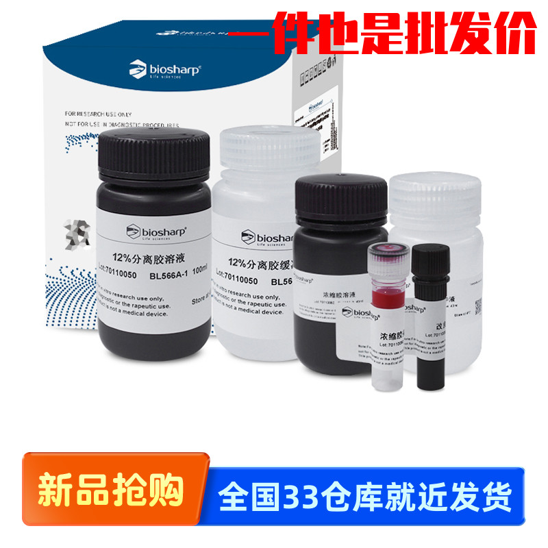 白鲨Biosharp BL566B 12%SDS-PAGE彩色凝胶快速制备试剂盒