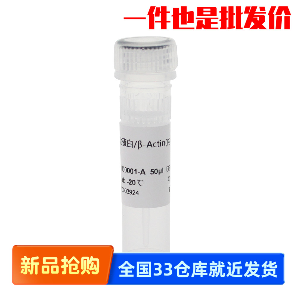 Biosharp/白鲨 BOAR-D0001 β-Actin Rabbit Polyclonal 内参抗体