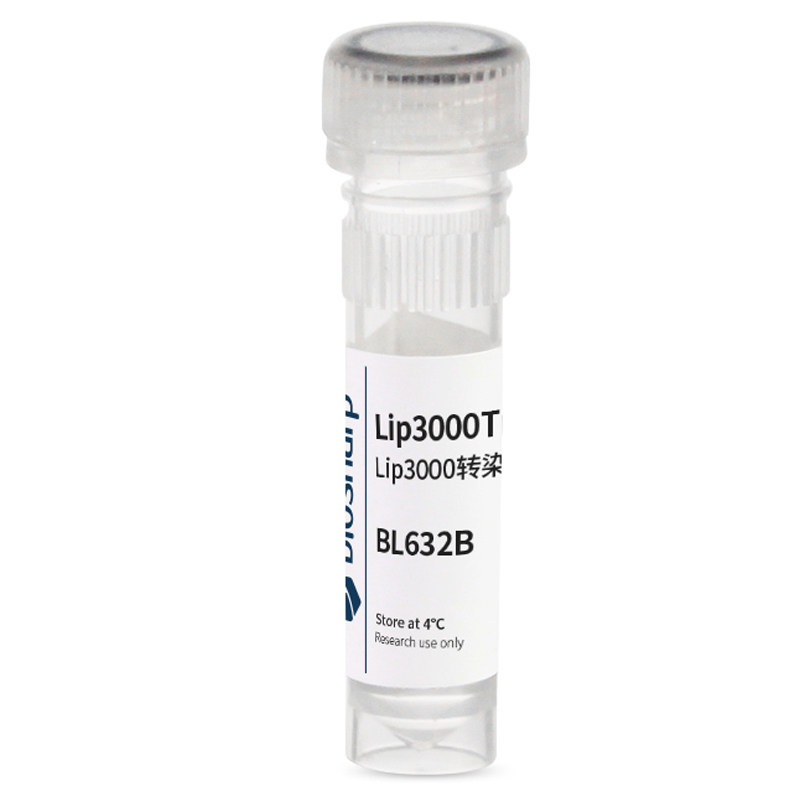白鲨Biosharp BL632S BL632A BL632B 脂质体3000/Lip3000转染试剂