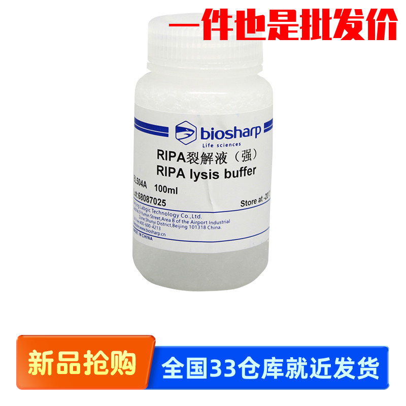 白鲨 Biosharp BL504A RIPA裂解液(强) 100ml RIPA Lysis Buffer