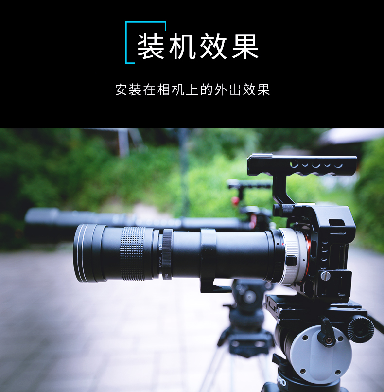 Jia Rui siêu tele 420-800mm F8.3 tele Sheyue full-frame hình ảnh của các loài chim SLR đơn vi T2 ống kính zoom - Máy ảnh SLR ống kính tele