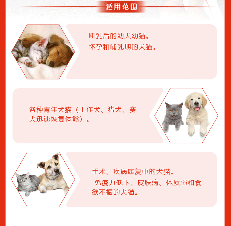 Kem dinh dưỡng trong Nonghua là một con chó con chó con mèo bổ sung các nguyên tố vi lượng vitamin taurine axit folic máu - Cat / Dog Health bổ sung sữa cho chó trưởng thành